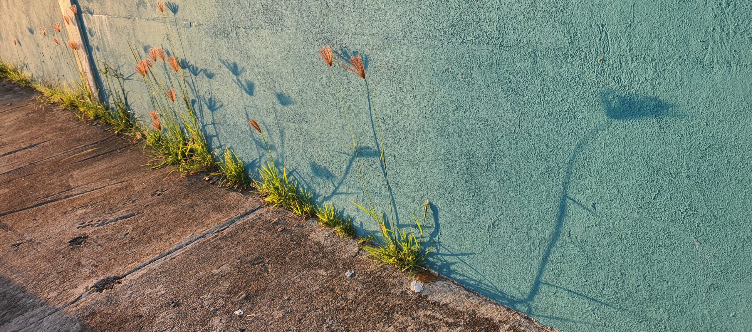 Hablemos de miedos y no es el que piensas